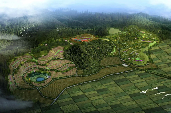 使命在肩 奮斗有我—公司中標  多項目 賦能區(qū)域生態(tài)發(fā)展