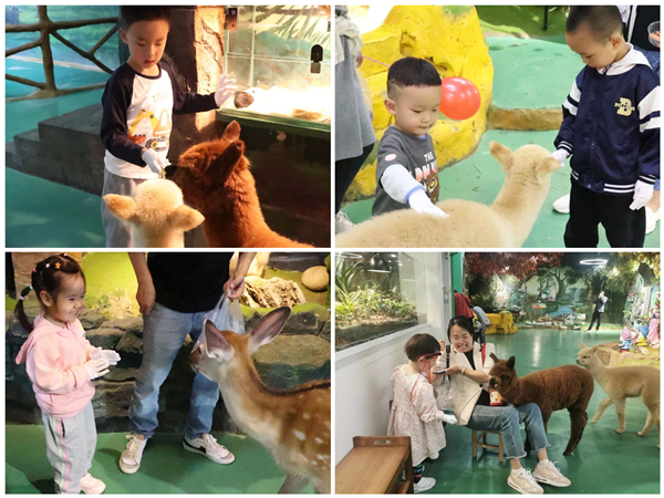 1685409053603426.jpg 微信圖片_20230530090905_副本.jpg